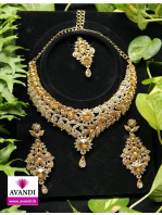 Elegant Gold and Silver Full Necklace set